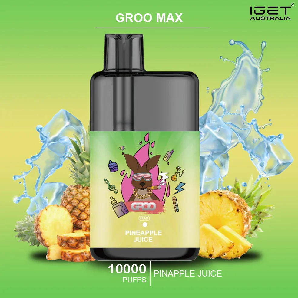GROO-MAX-PINAPPLE-JUICE.webp